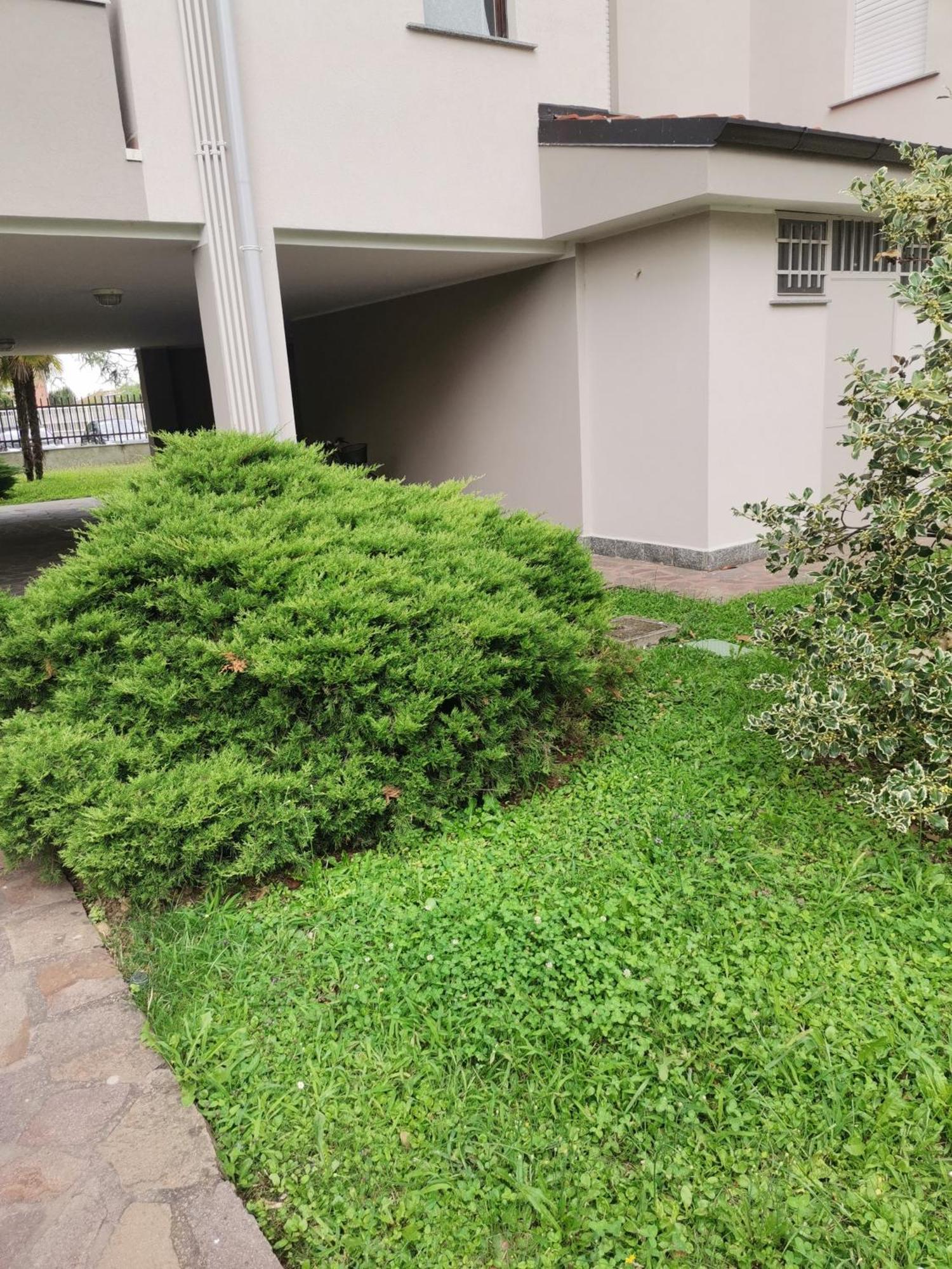 B&B Busto Garolfo Екстер'єр фото